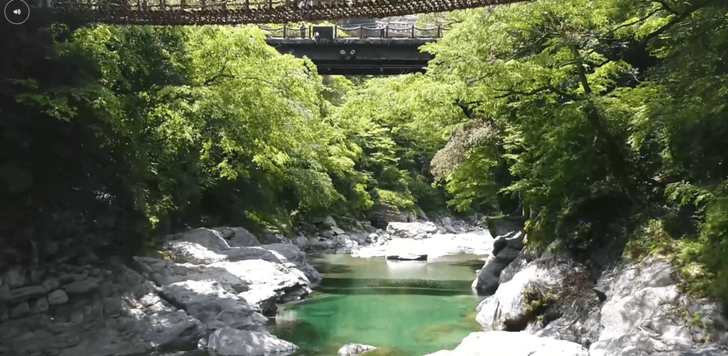 祖谷渓温泉ホテル秘境の湯