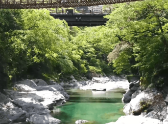 祖谷渓温泉ホテル秘境の湯